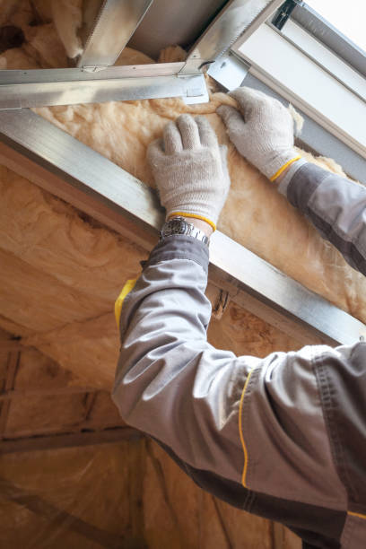 Best Batt and Roll Insulation  in Palmyra, MO